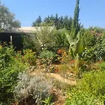 Дом отдыха Ivi House In Giolou, Paphos *