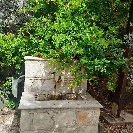 Ivi's House Giolou Casa vacanze Paphos