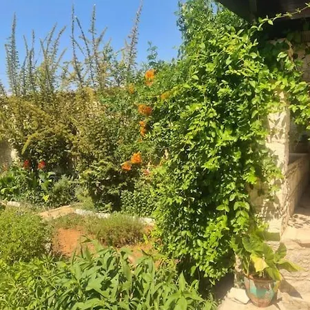 Ivi's House Giolou Holiday home