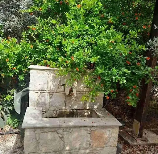 Ivi's House Giolou Semesterbostad Paphos