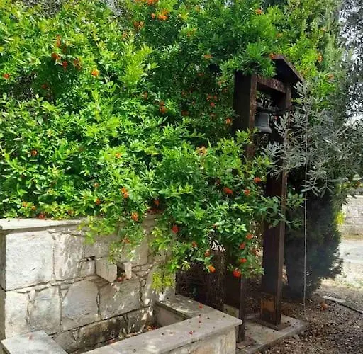 Ivi's House Giolou 別荘 *