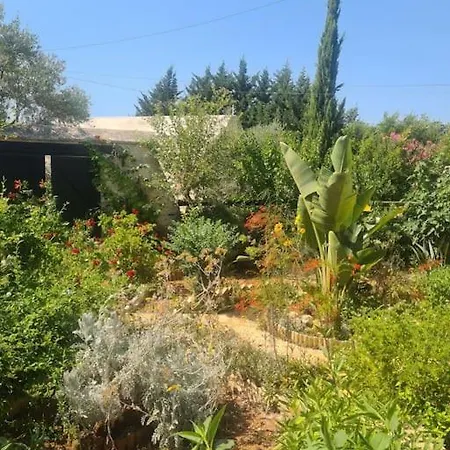 Casa de Férias Ivi's House Giolou *