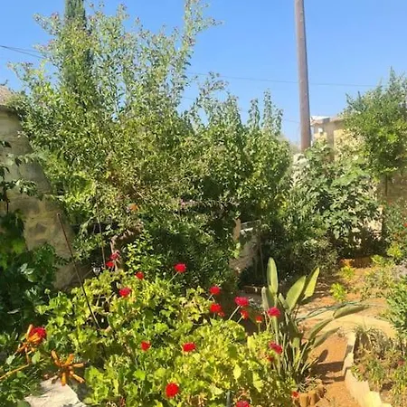 Ivi House In Giolou,