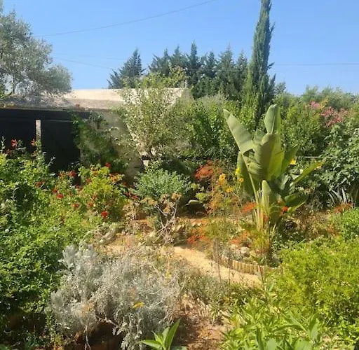 Vakantiehuis Ivi's House Giolou *