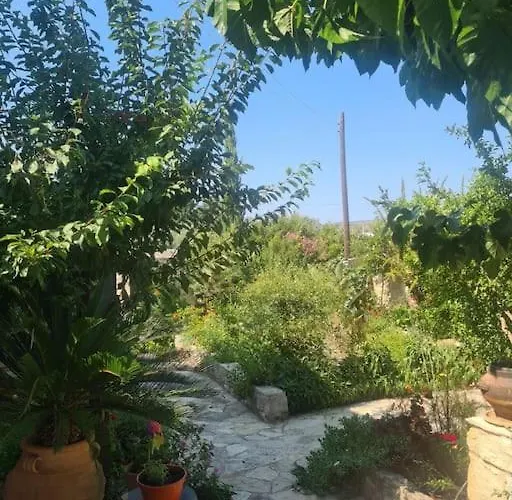 Ivi's House Giolou *