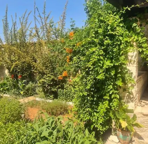 Ivi's House Giolou Vakantiehuis