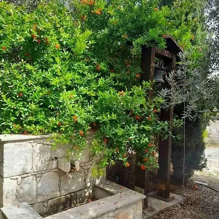 Ivi House In Giolou, Holiday home *